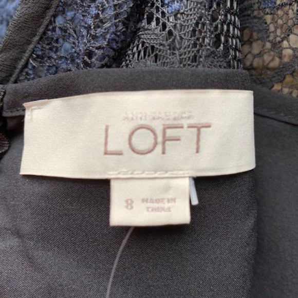 Ann Taylor Loft Black Navy Blue Striped Lace Sheer Shift Dress Sz 8 -NWT - Picture 13 of 14